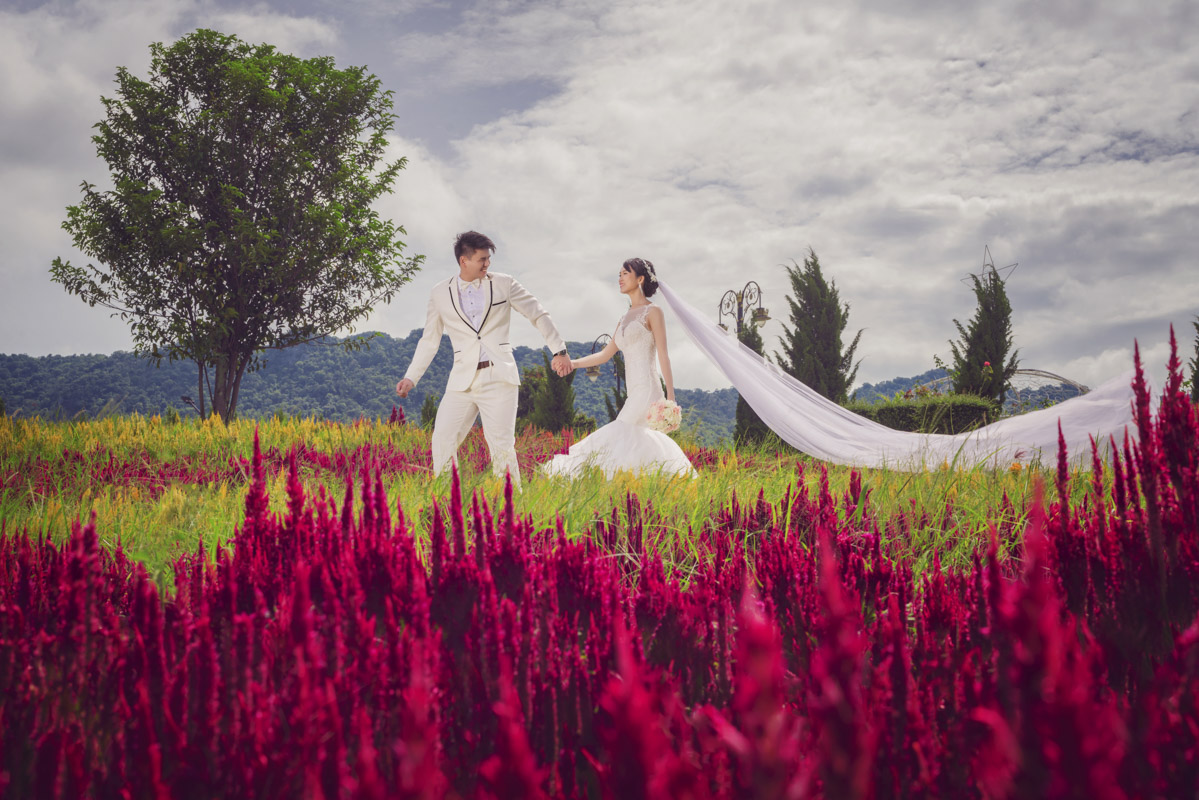 Hikki&CheeSeng Wedding Photography